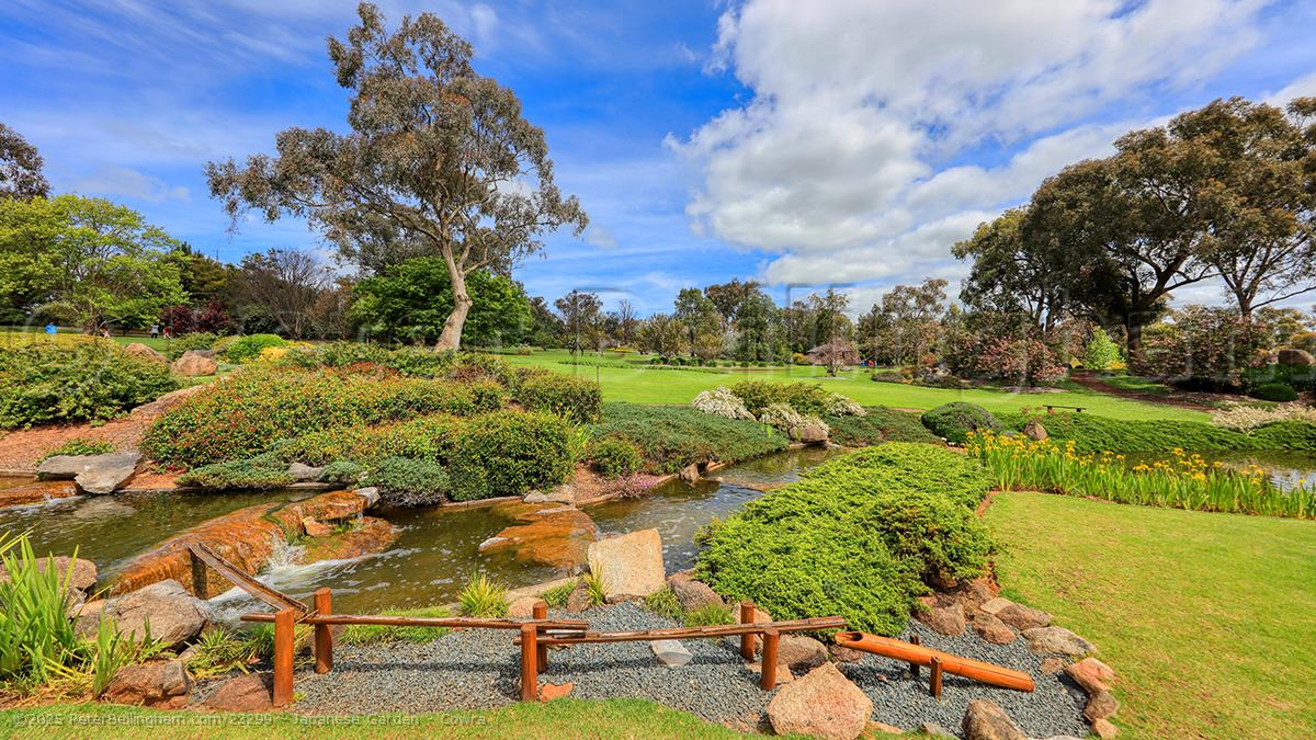 Peter Bellingham Photography Japanese Garden - Cowra